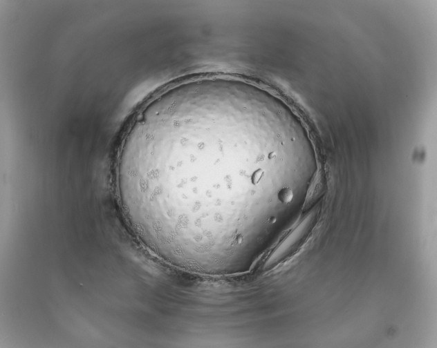 X0000091681215200709061057