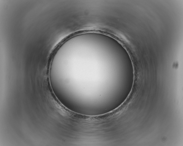 X0000091681216200709061057