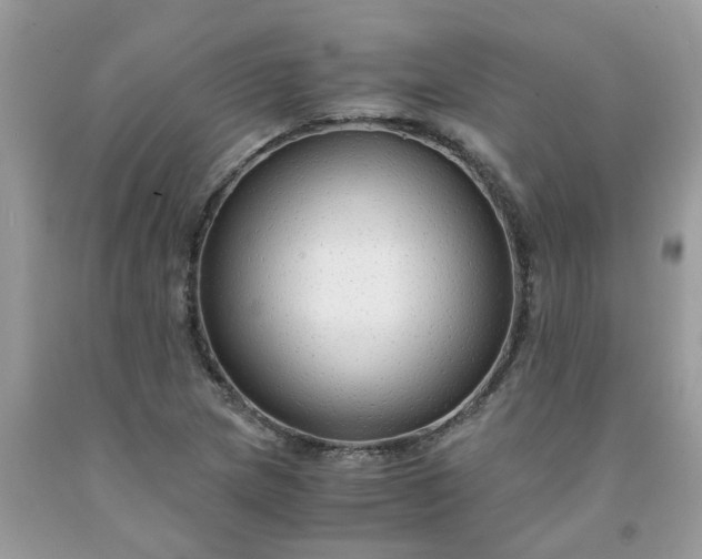 X0000091681217200709061057