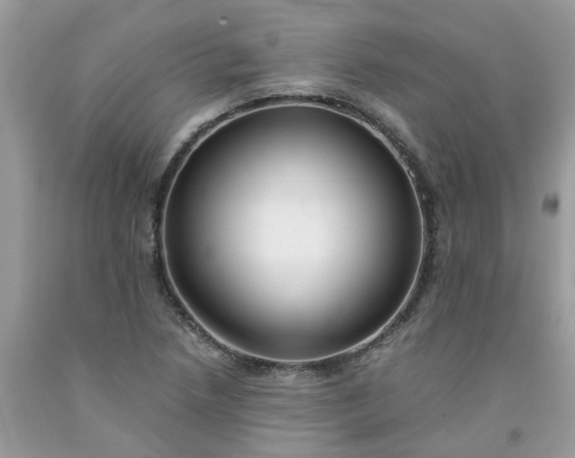 X0000091681218200709061057