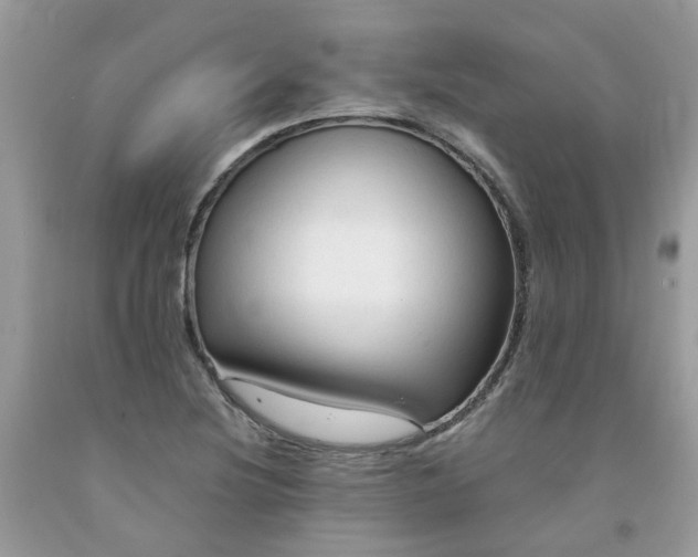 X0000091681220200709061057