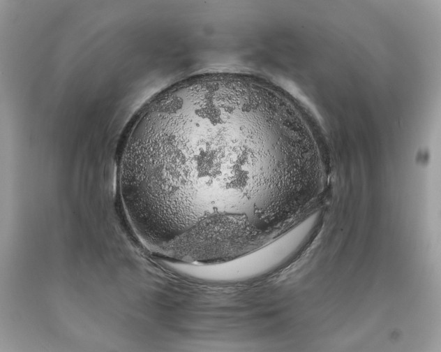 X0000091681221200709061057