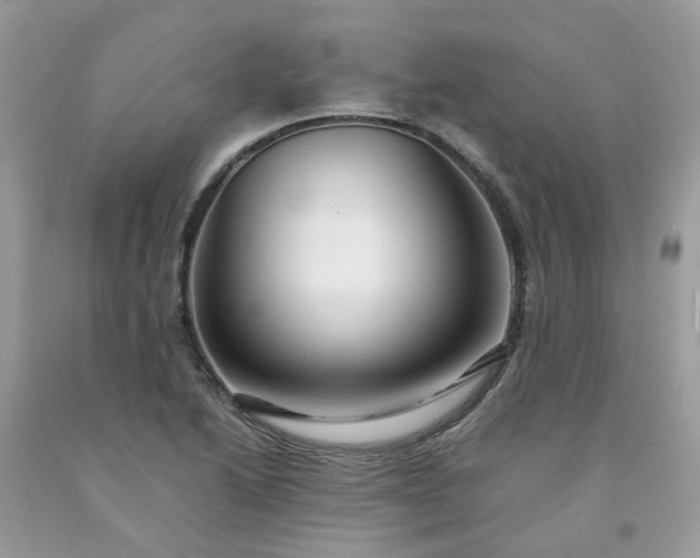 X0000091681222200709061057