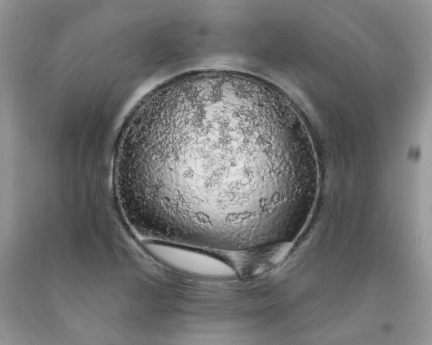 X0000091681224200709061057