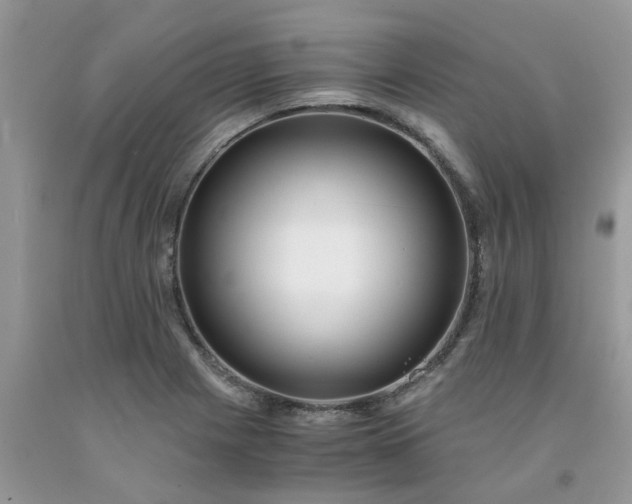X0000091681225200709061057