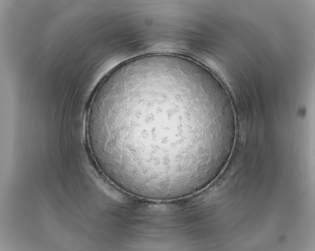 X0000091681227200709061057