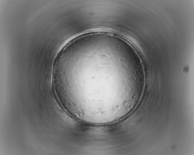 X0000091681228200709061057