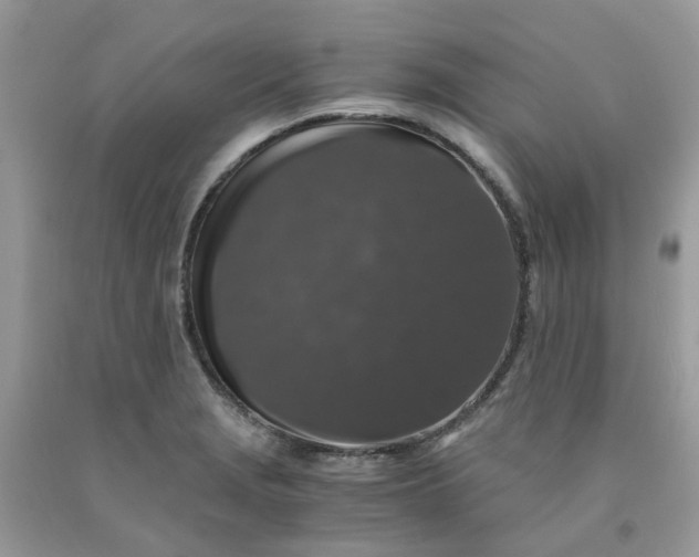 X0000091681229200709061057