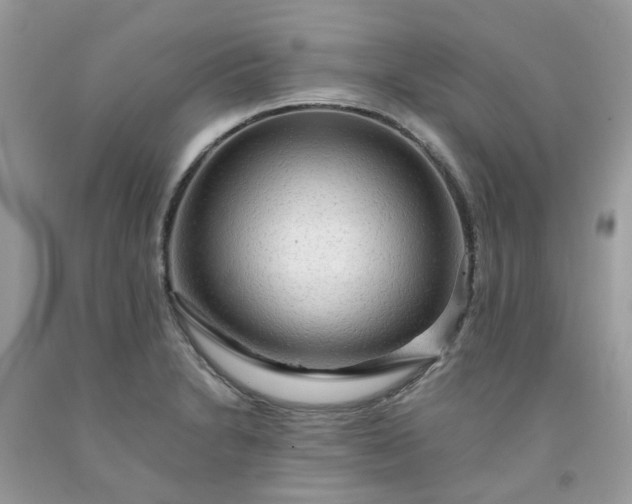 X0000091681230200709061057