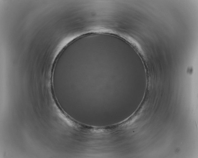 X0000091681231200709061057