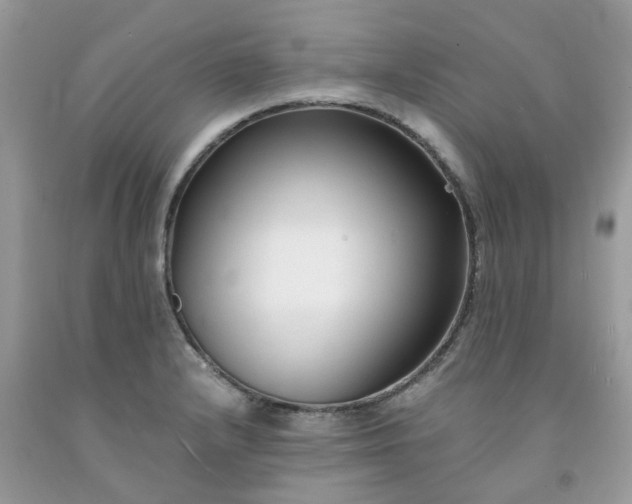 X0000091681232200709061057