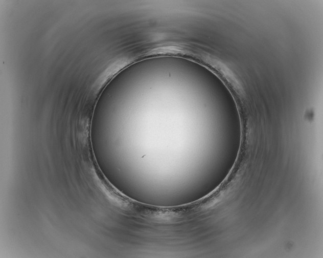 X0000091681233200709061057