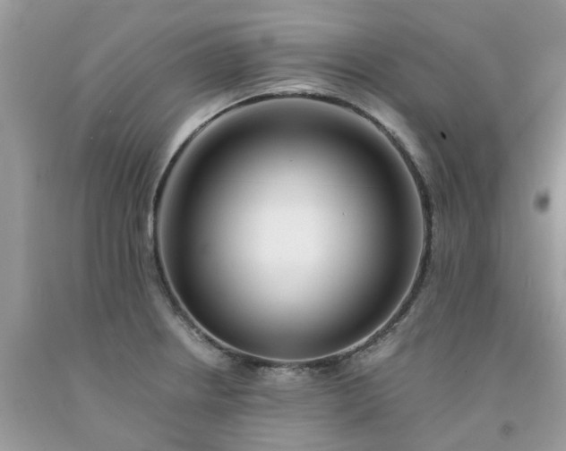 X0000091681234200709061057