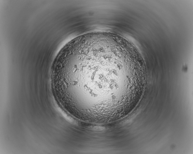 X0000091681235200709061057
