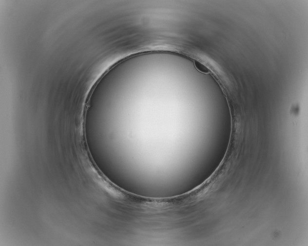 X0000091681236200709061057
