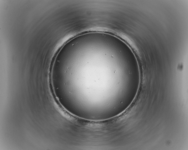 X0000091681237200709061057