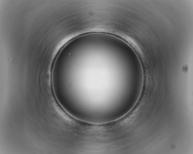 X0000091681238200709061057