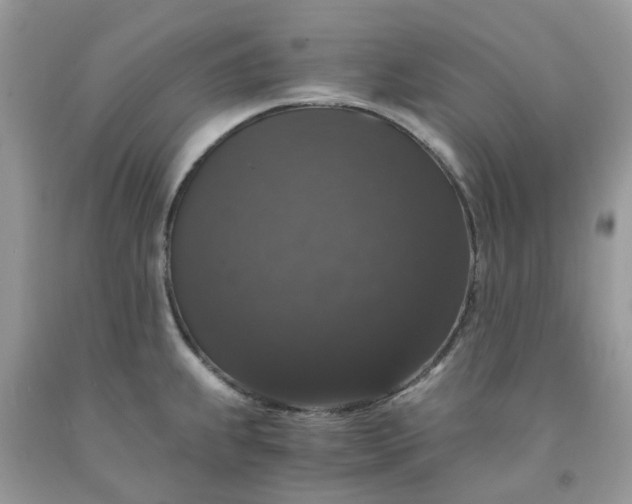X0000091681239200709061057