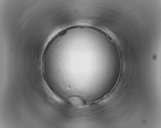 X0000091681240200709061057