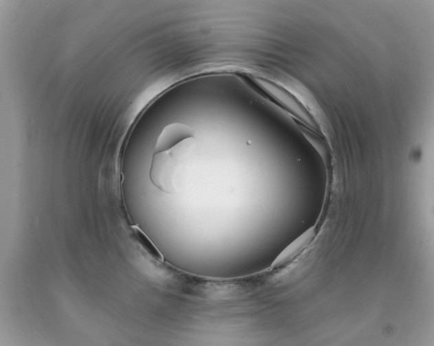 X0000091681242200709061057