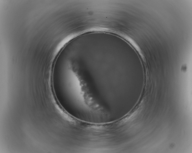 X0000091681245200709061057
