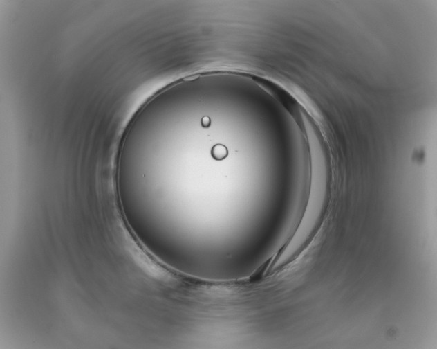 X0000091681246200709061057
