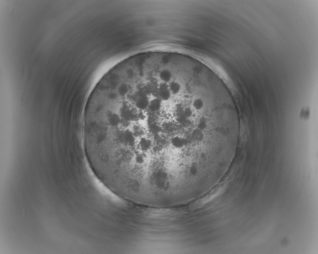 X0000091681247200709061057