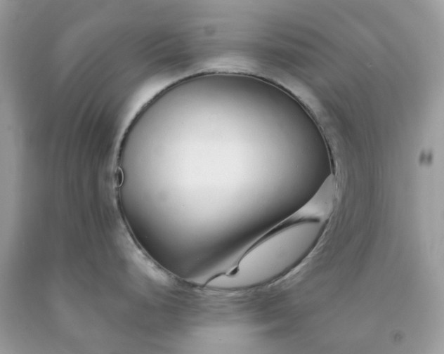 X0000091681248200709061057
