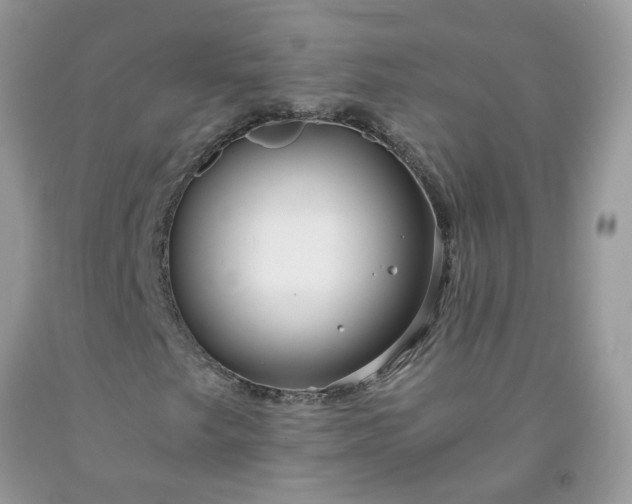X0000091681249200709061057