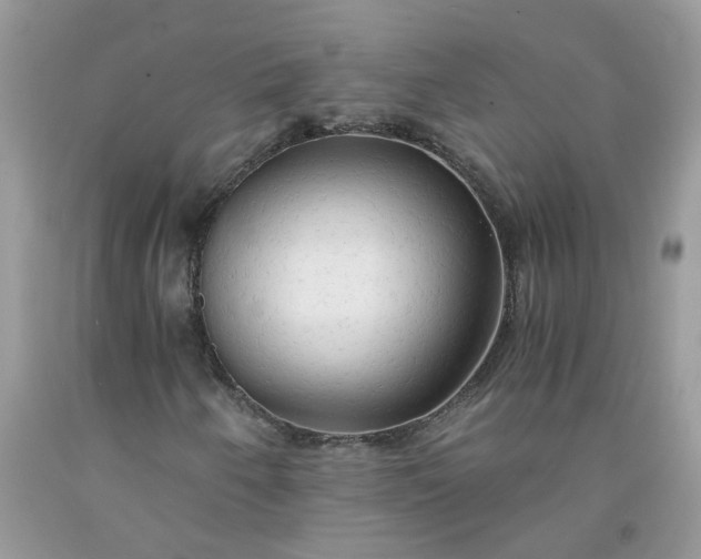 X0000091681250200709061057