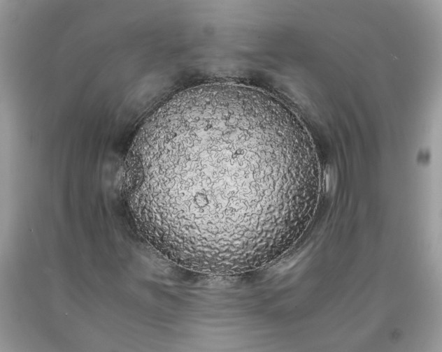 X0000091681251200709061057