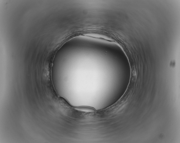 X0000091681252200709061057