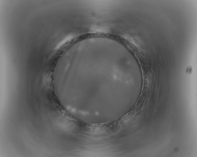 X0000091681254200709061057