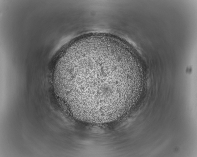 X0000091681255200709061057
