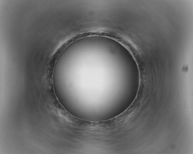X0000091681256200709061057