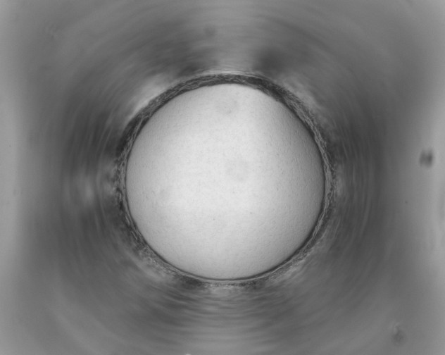 X0000091681258200709061057