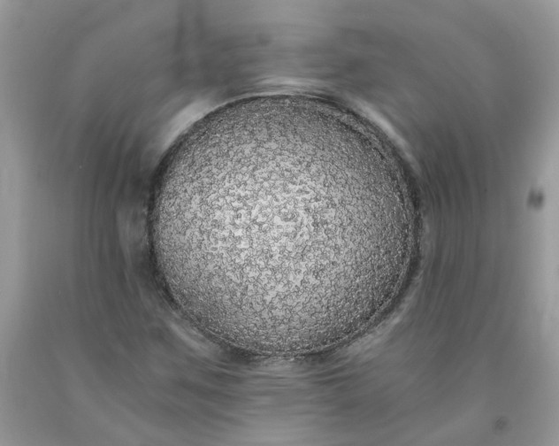 X0000091681259200709061057