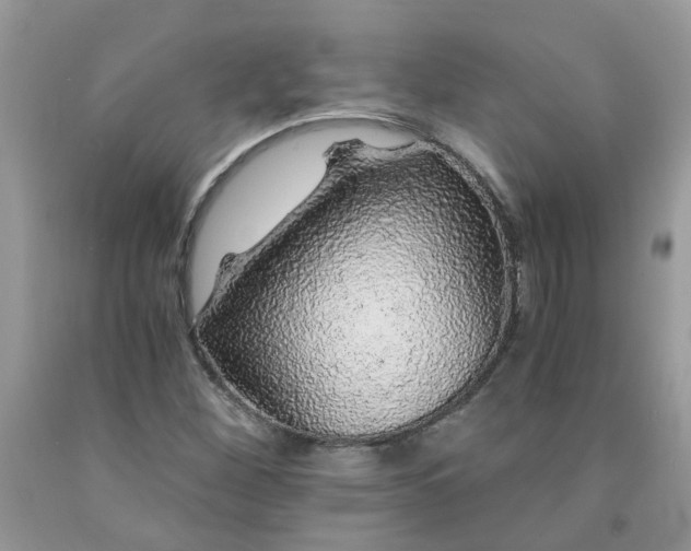 X0000091681260200709061057