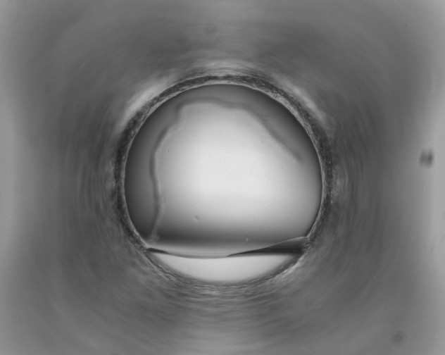 X0000091681261200709061057