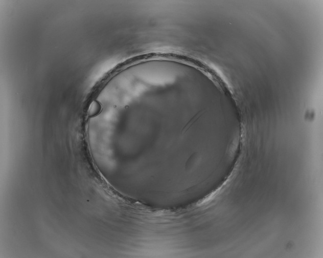 X0000091681263200709061057