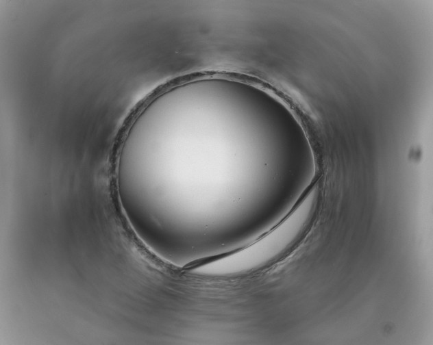 X0000091681264200709061057