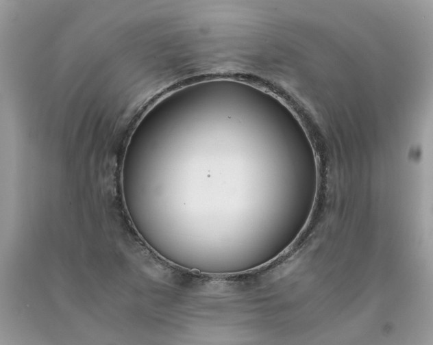 X0000091681265200709061057