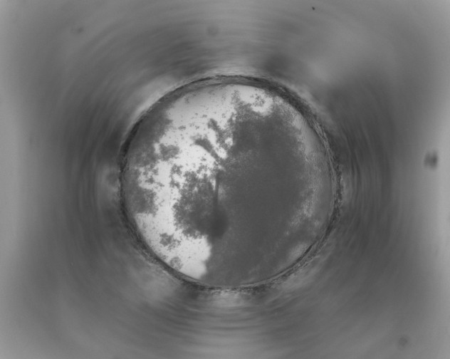 X0000091681266200709061057