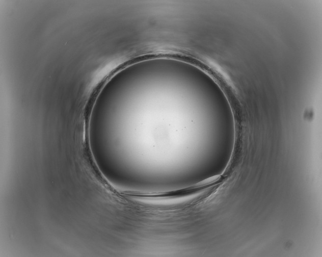 X0000091681269200709061056