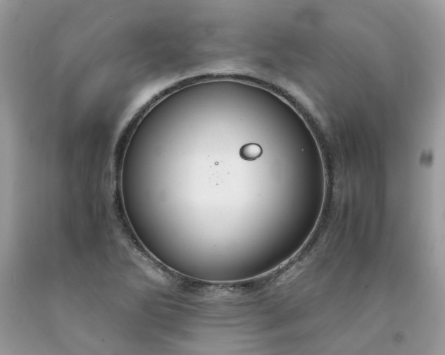 X0000091681270200709061056