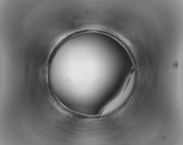 X0000091681272200709061056