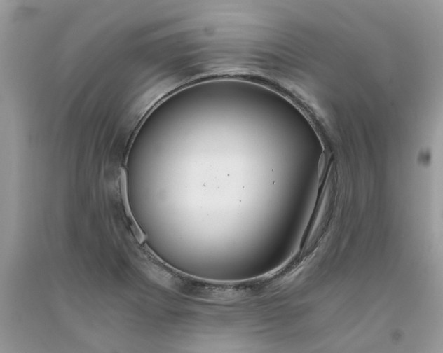 X0000091681273200709061056