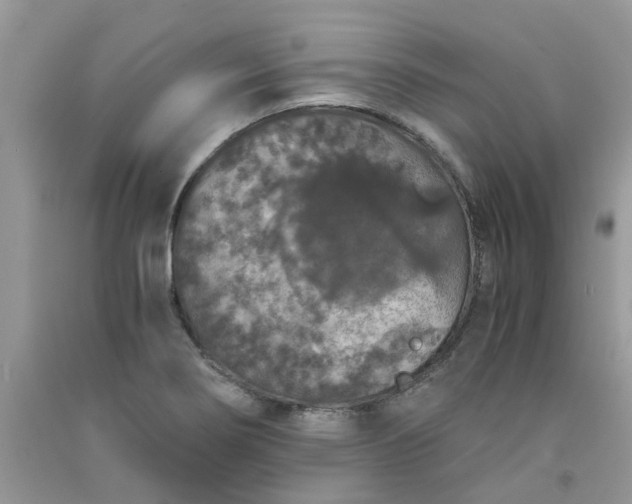 X0000091681274200709061056