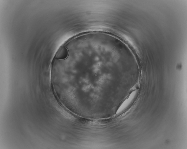 X0000091681275200709061056
