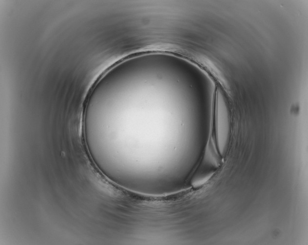 X0000091681276200709061056